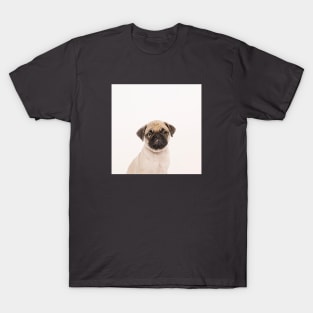 Puggly the Pug Dog T-Shirt